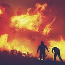 2023 wildfire season among worst in EU: report