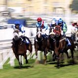 Horseracing monopolies may be justified: EU court