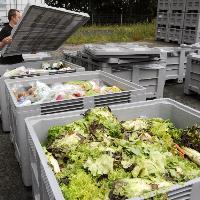 MEPs call for blitz on EU food waste mountain