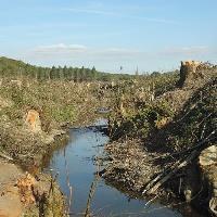 EU takes France to task over protest death dam