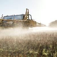 Commission renews approval of glyphosate herbicide for 5 years