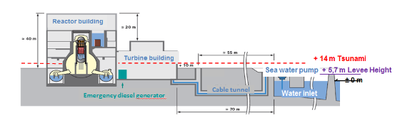 Figure 2: Flooding of the Emergency Power Supply Diesels at Fukushima