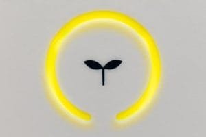 The ecology signal lamp - Photo by S. Tsuchiya on Unsplash