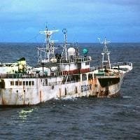Fishing illegal suspect Global clampdown on unregulated fishing