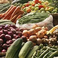 Photo Jasper Greek Golangco Green light for new EU rules on organic farming