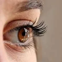 Eye Roche and Novartis lose Avastin case at EU Court