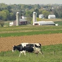 EU Farm Council ends minimum intervention price for skimmed milk powder
