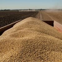 Photo United Soybean Board EU imports of American soybeans jump 283 pct