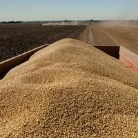 EU imports of American soybeans jump 283 pct