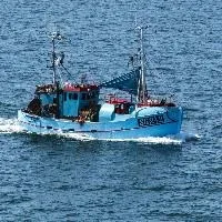 EU announces emergency measures to save east Baltic cod