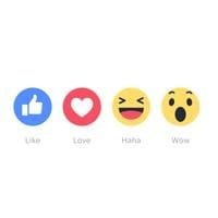 Websites using Facebook 'Like' button are data liable