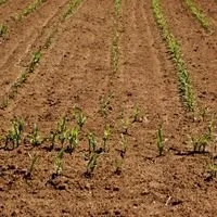 Drought EU agrees measures to combat drought in Europe