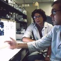 Ebola research - Photo National Cancer Institute First Ebola vaccine receives European approval