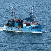 EU, UK agree fish quotas for rest of 2021