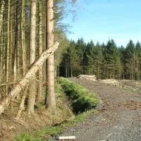 EU pledges EUR 1 bn to protect world forests
