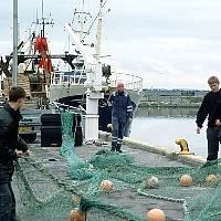 Fishing - Photo Denmark - Thyboron, FEDER-02 - EC EU proposes 2024 fish quotas to address 'dire' situation in Baltic Sea