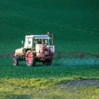 Pesticides glyphosate - Image by Th G from Pixabay MEPs want drastic cut in use of chemical pesticides
