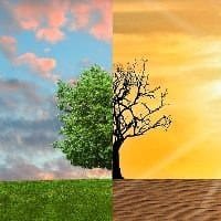 EUR 396m EU funding for LIFE environment projects