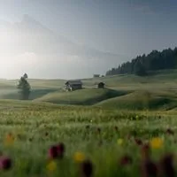 Fallow farm land - Photo by Gianluca Grisenti on Pexels European farmers to be exempted from EU rules on land lying fallow
