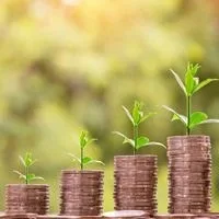 Green finance - Image nattanan on Pixabay MEPs approve 'due diligence' bill on firms' impact on environment