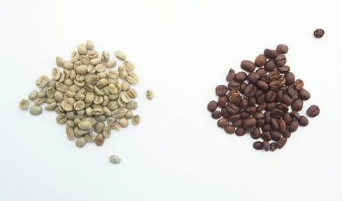 Coffee geek - Photo by Coffee Geek on Unsplash