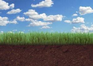 Soil - Image by Alexandra Koch from Pixabay