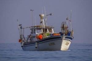 Fishing boat - Image by Dimitris Vetsikas from Pixabay