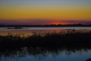 Wetland - Image by Dimitris Vetsikas from Pixabay