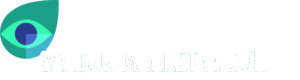 Carbon Market Watch logo