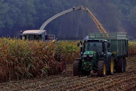 EU Council, Parliament agree on Mercosur rules to safeguard agri-food sector Farming corn - Image by Wolfgang Eckert from Pixabay