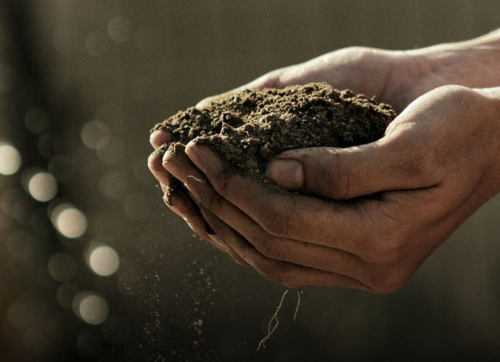 soil-Photo by Gabriel Jimenez on Unsplash