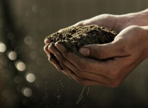 soil-Photo by Gabriel Jimenez on Unsplash