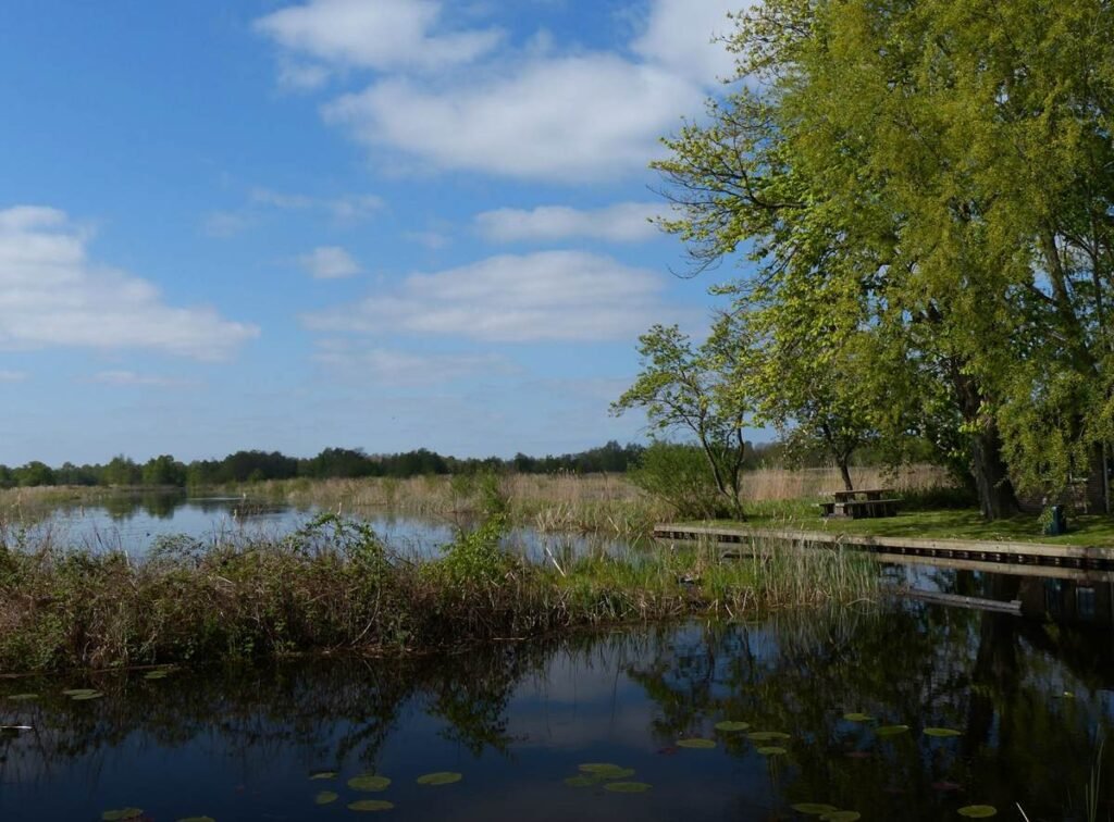 Wetlands Kalenberg, Netherlands - Photo by Elly Kelders on Unsplash