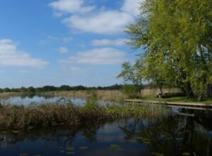 Wetlands Kalenberg, Netherlands - Photo by Elly Kelders on Unsplash