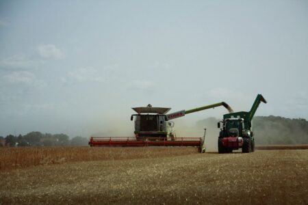 Agriculture - Image by André Rathgeber from Pixabay
