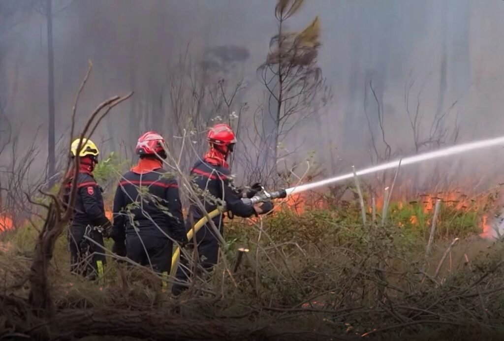 Wildfires - Photo © European Union 2026