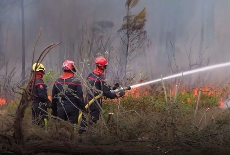 Wildfires - Photo © European Union 2026