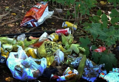 Food waste in the EU at 129 kg per person in 2024 Food waste - Photo by Roger Starnes Sr on Unsplash