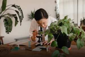 Nature research - Photo RDNE Stock project on Pexels