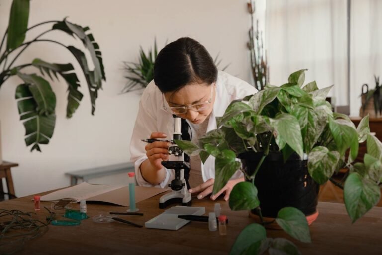 Nature research - Photo RDNE Stock project on Pexels